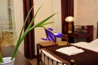 Отель Boutique Villa Mtiebi Тбилиси Небольшой двухместный номер с 1 кроватью-5