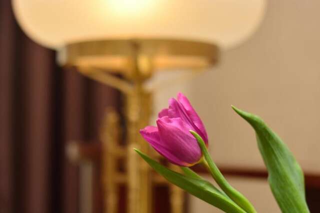 Отель Boutique Villa Mtiebi Тбилиси-92